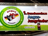 1. Angus-Jungrinder-Bundesschau